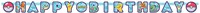 Pokemon Feestpakket (56 stuks) (slinger)