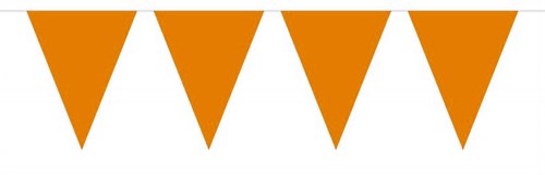 Mini Vlaggenlijn Oranje 3mtr.