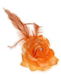 Bloem met Diamant op Speldje en Elastiek Oranje