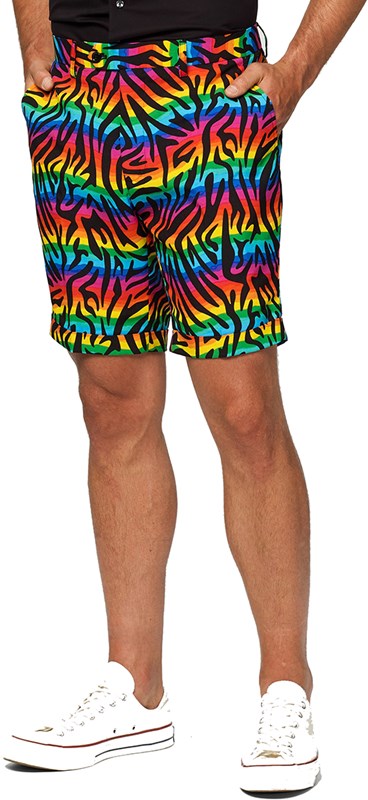 Herenkostuum Summer OppoSuits Wild Rainbow (broek)