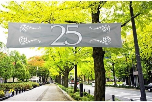 Banner 25 Zilver 180x40cm