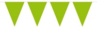 Mini Vlaggenlijn Lime Groen 3mtr.