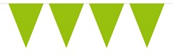Mini Vlaggenlijn Lime Groen 3mtr.