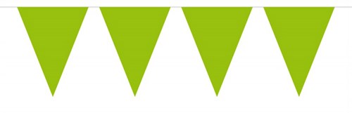 Mini Vlaggenlijn Lime Groen 3mtr.