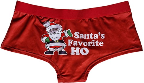 Kerst Dames Hipster Santa's Favorite Ho