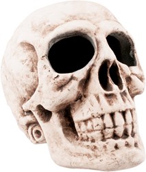 Decoratie Schedel Skull (47x35cm)