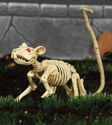 Halloween Decoratie Skelet Rat (20cm)