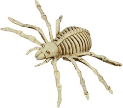 Halloween Decoratie Skelet Spin (12x25cm)