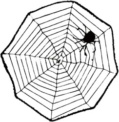 Spin & Web (40cm)