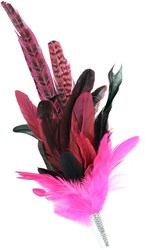 Tiroler Hoedenspeld Verenpluim Pink