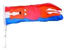 Autovlag Leeuw Oranje