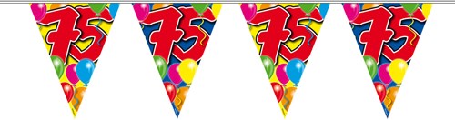 Vlaggenlijn 75 jaar 10mtr