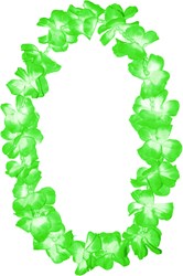 Hawaislinger Groen met Parels