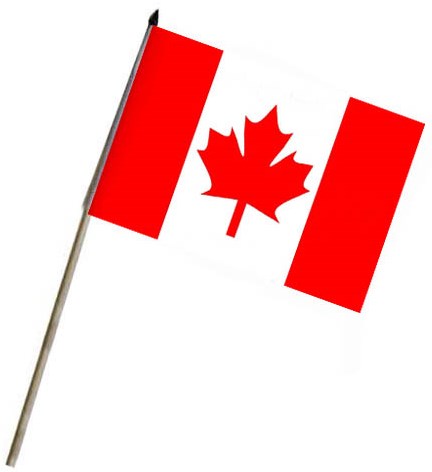vlag op stok canada 46x30cm