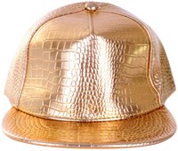 Pet Rapper Goud-2