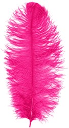 Prinsenveer Pink 60-70cm (Struisvogelveer)