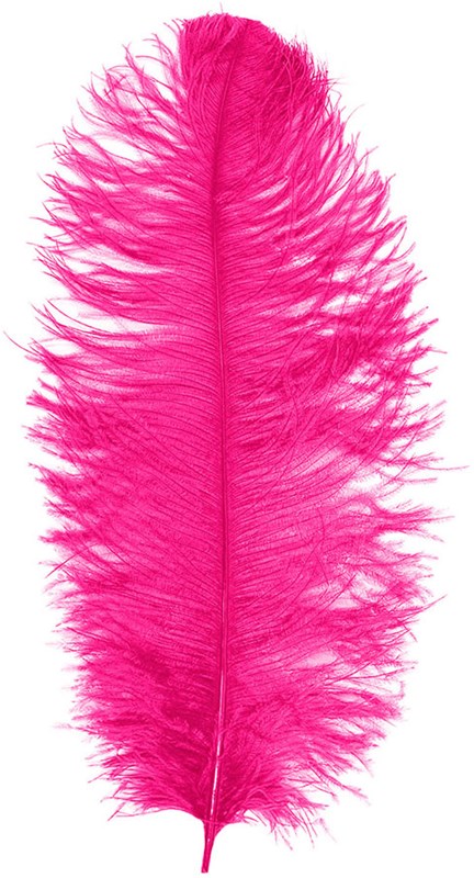 Prinsenveer Pink 60-70cm (Struisvogelveer)