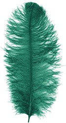 Prinsenveer Groen 60-70cm (Struisvogelveer)