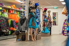 Feestwinkel Megastore Borne | Carnavalsland-122