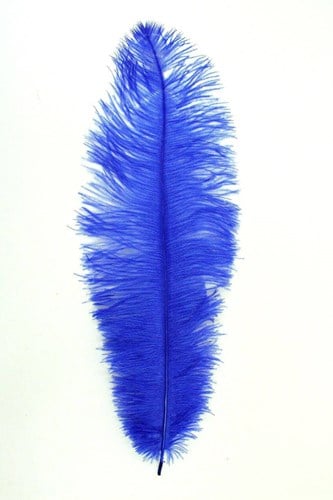 Struisvogelveren ca. 30cm Blauw