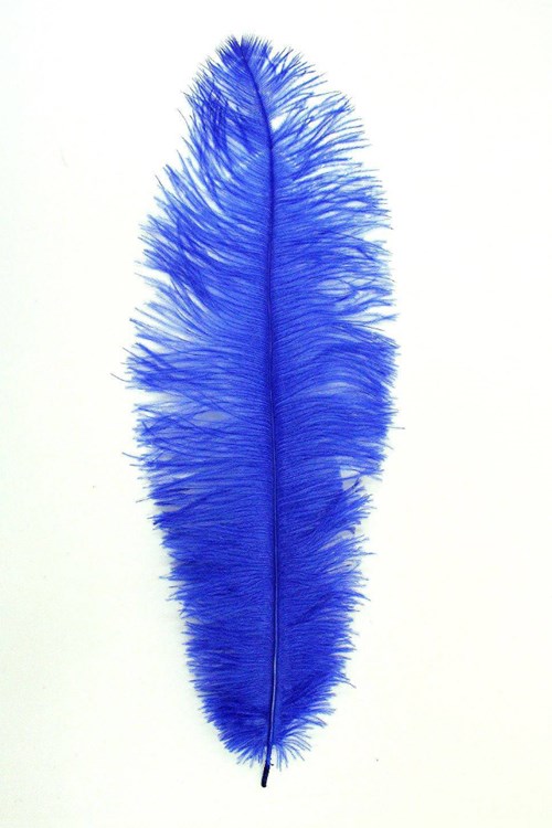 Struisvogelveren ca. 30cm Blauw