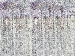 Deurgordijn Holografisch Zilver Luxe - 90x250cm