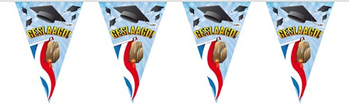 Vlaggenlijn Geslaagd Vlag en Muts (10 meter)