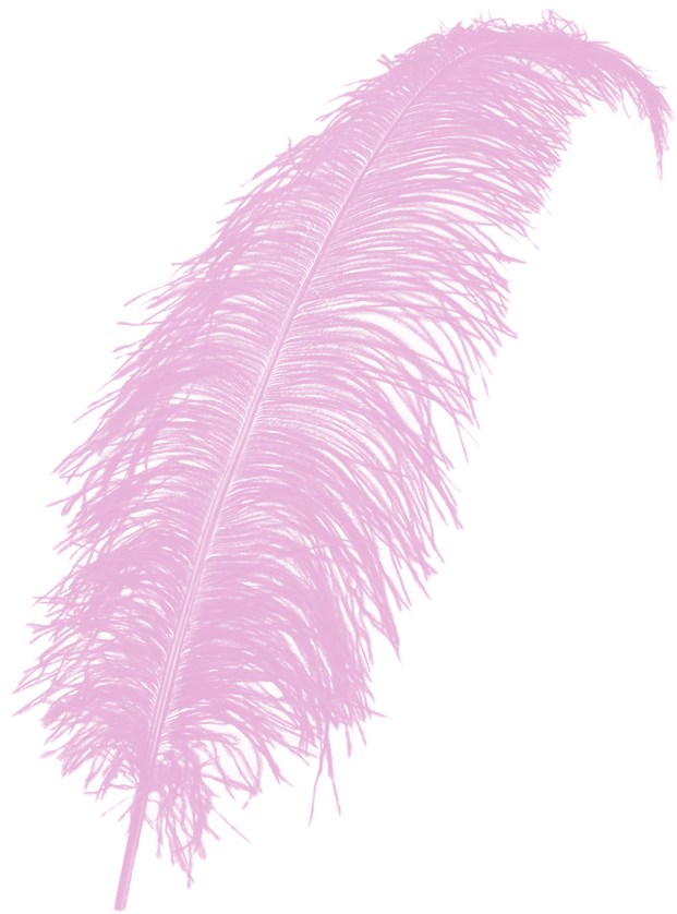 Sowder 10 stuks Struisvogelveren 30-35 cm voor Bruiloftsdecoraties (roze Sowder 10 stuks Struisvogelveren 30-35 cm voor Bruiloftsdecoraties (roze