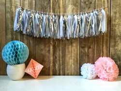 Tassel Guirlande Zilver 5mtr.