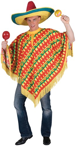 Mexicaanse Poncho Fiesta