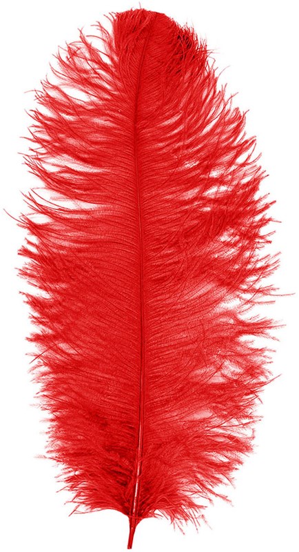 Prinsenveer Rood 60-70cm (Struisvogelveer)