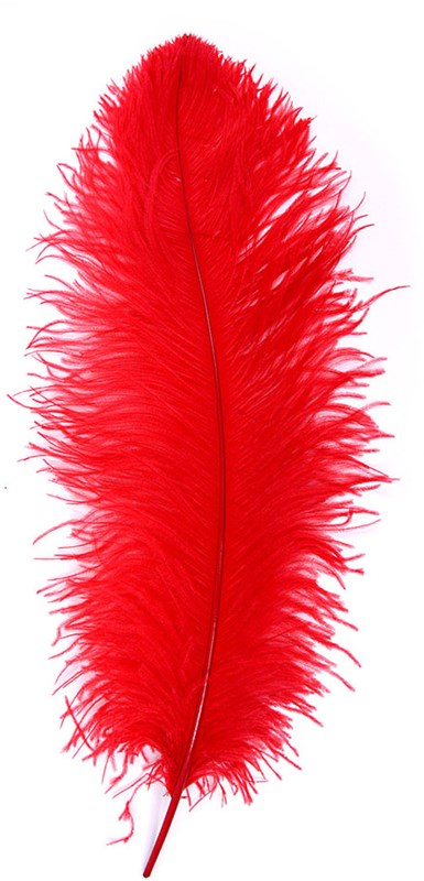 Prinsenveer Rood 60-70cm (Struisvogelveer)-2