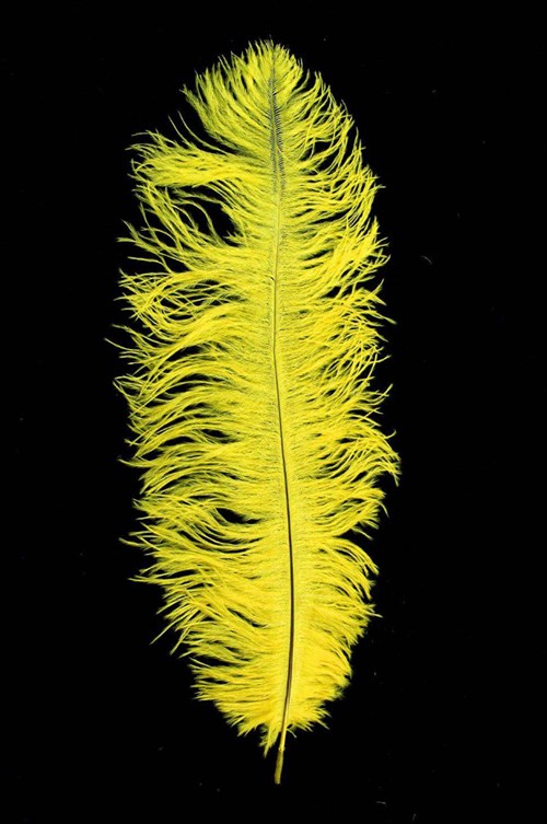 Struisvogelveren ca. 30cm Geel 