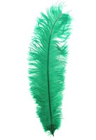 Groothandel witte struisvogelveren 25-30cm/10-12inch natuurlijke pluim voor bruiloft thuis handwerk decoratie ambachtelijke veren-appelgroen, 20 stuks