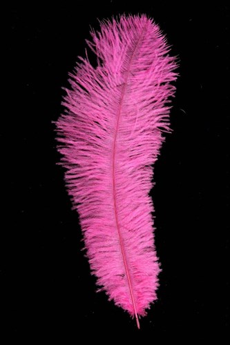 Struisvogelveren ca. 30cm Pink 