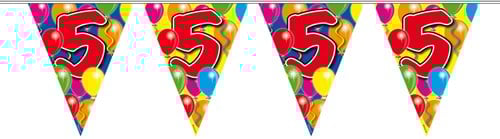 Vlaggenlijn 5 jaar 10mtr