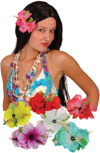 Haarclip Bloem Hawaii Assorti 
