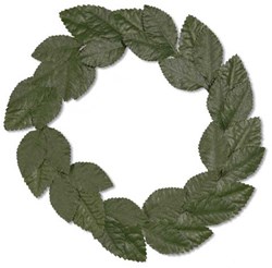 Lauwerkrans Groen