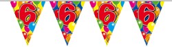 Vlaggenlijn 6 jaar 10mtr