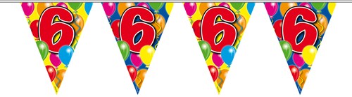 Vlaggenlijn 6 jaar 10mtr