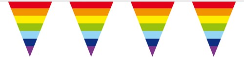 Vlaggenlijn Regenboog 10m