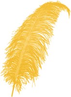 Struisvogelveren ca. 60cm Geel