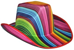 Cowboyhoed Regenboog