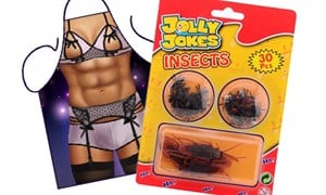 Fun Artikelen