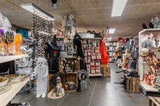 Feestwinkel Megastore Borne | Carnavalsland-2194