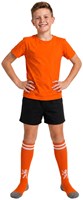 Lange Sportsokken Oranje met Leeuw (2)