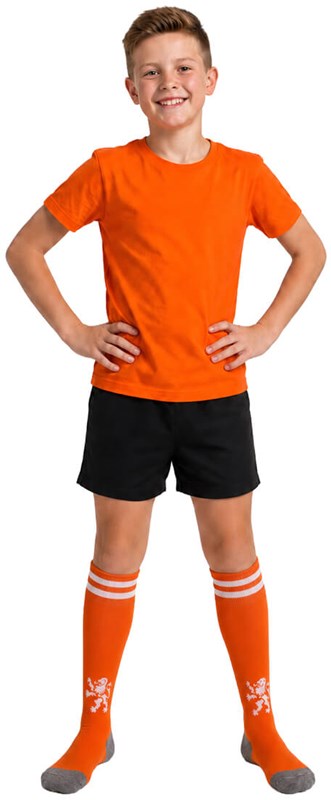 Lange Sportsokken Oranje met Leeuw (2)