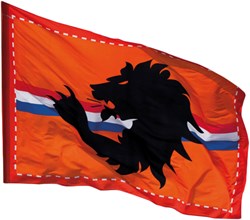 Reuze Vlag Leeuw Oranje 300X200CM