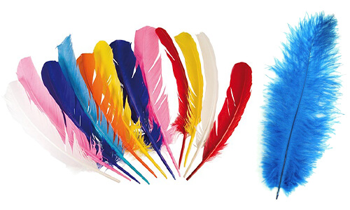 Indianen hoofdband volwassenen - Vegaoo