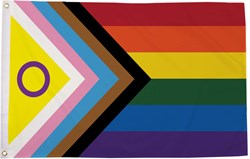 Intersex Progress Pride Vlag - 90x150cm
